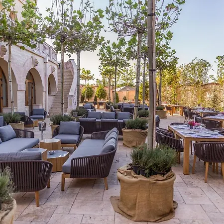 Suter Palace Heritage Boutique فندق
